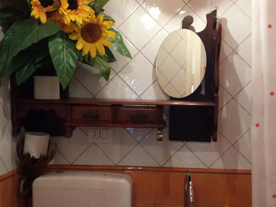 Immagine 8 di Appartamento in affitto  in Borgo San Frediano a Firenze