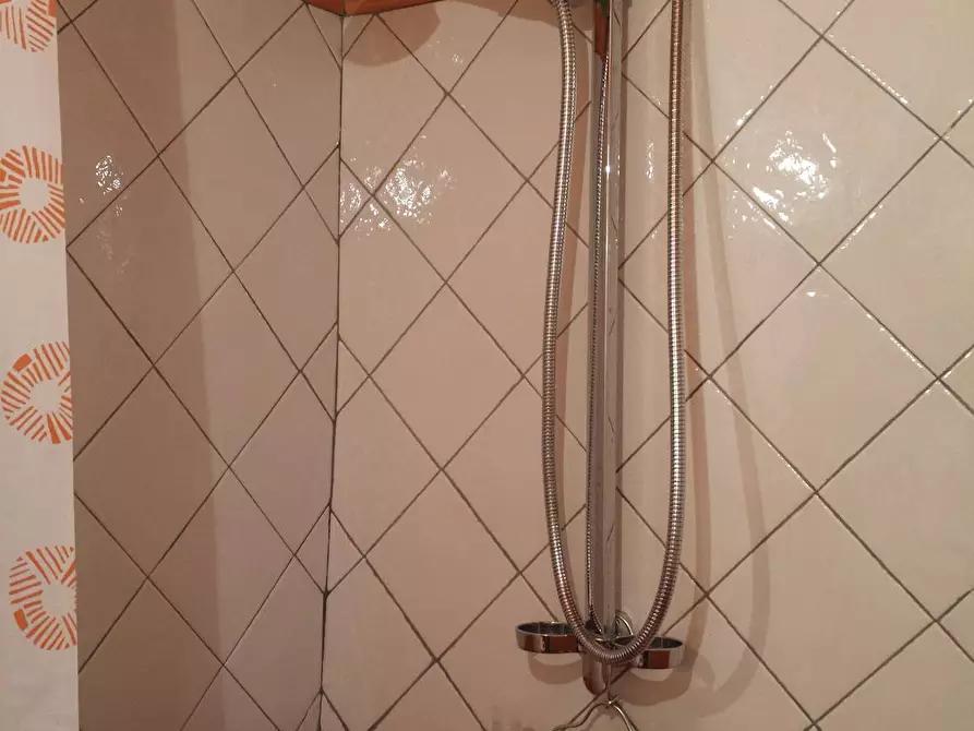 Immagine 9 di Appartamento in affitto  in Borgo San Frediano a Firenze