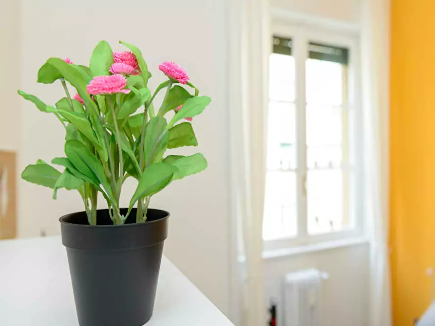 Immagine 6 di Camera in affitto  in Via Mauro Macchi a Milano