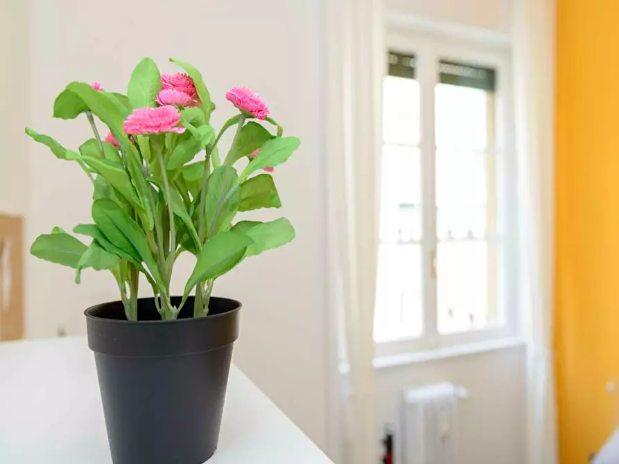 Immagine 5 di Camera in affitto  in Via Mauro Macchi a Milano