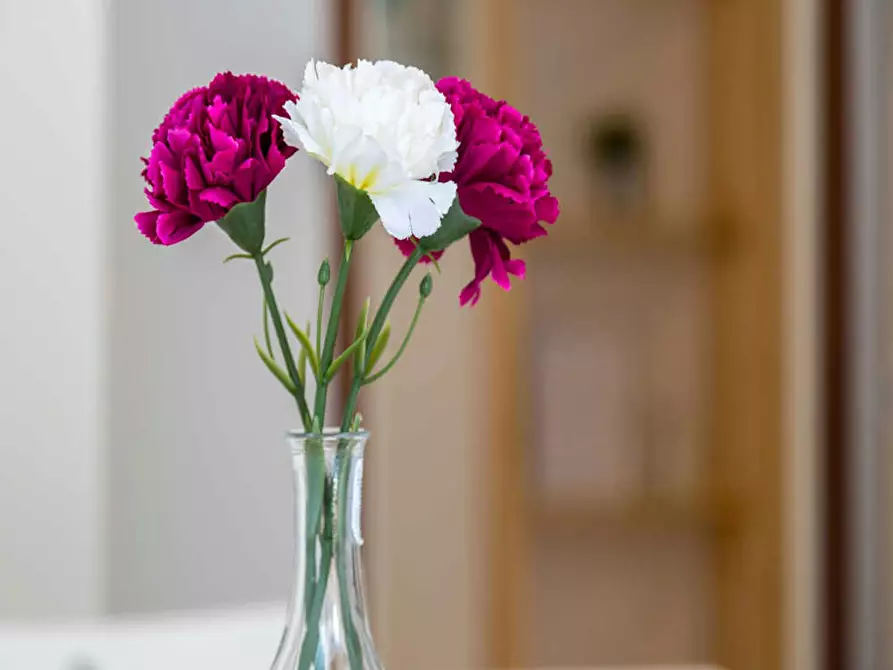 Immagine 9 di Camera in affitto  in Via dei Mandorli a Buccinasco