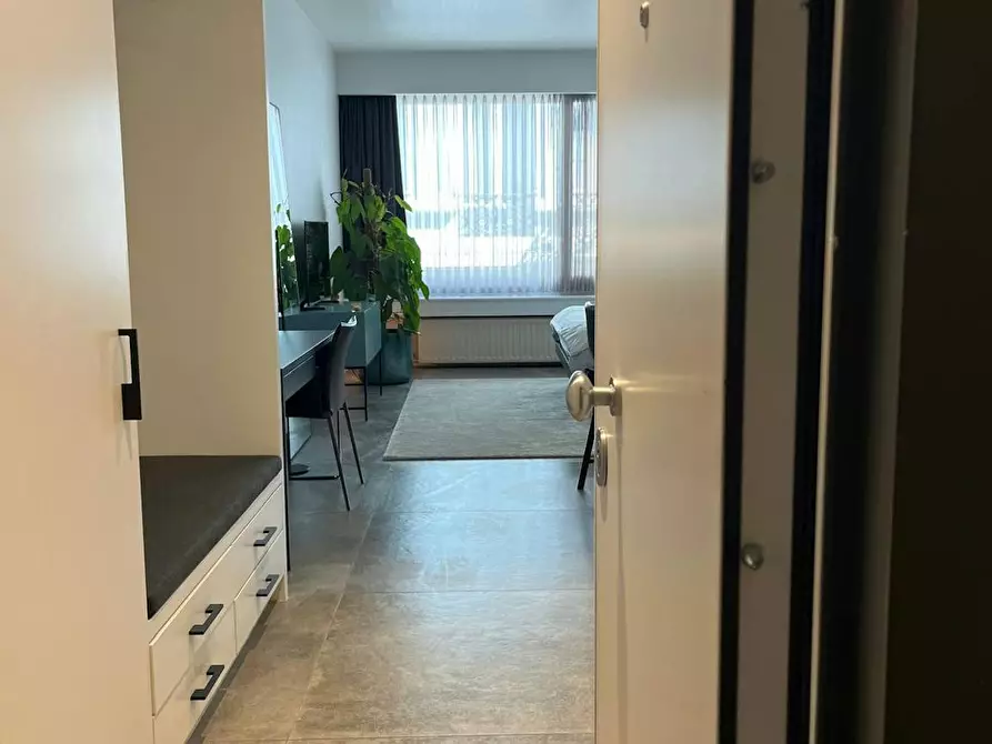 Immagine 3 di Appartamento in affitto  in Otto Veniusstraat a Antwerpen