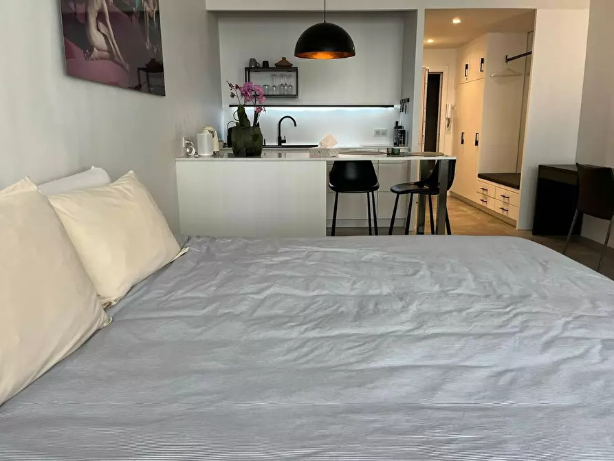 Immagine 10 di Appartamento in affitto  in Otto Veniusstraat a Antwerpen