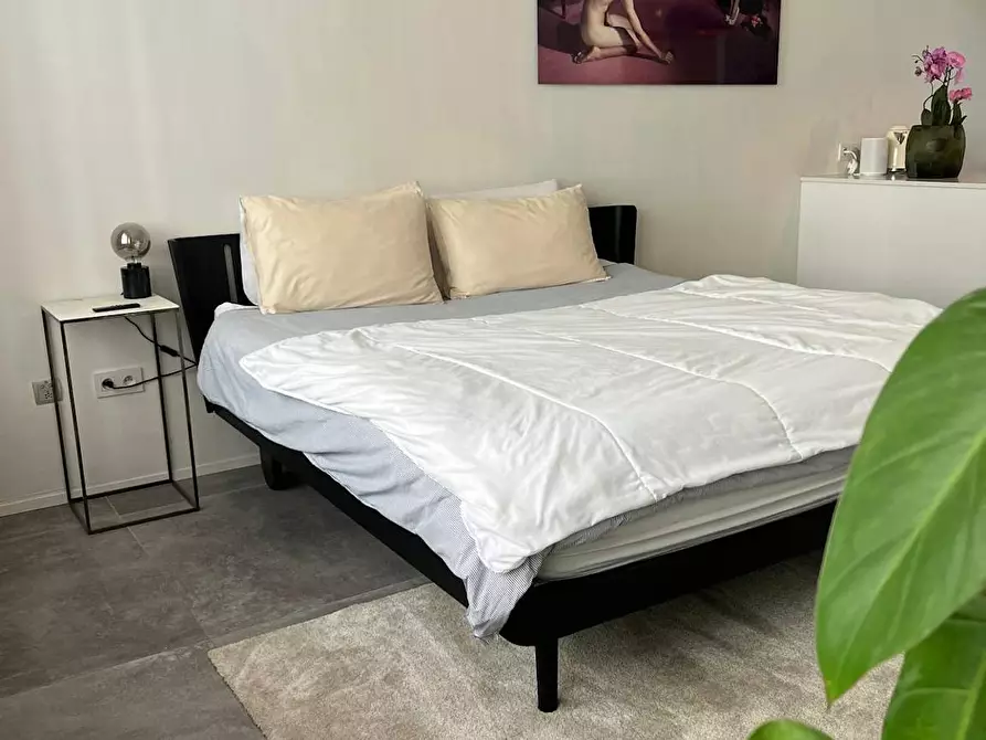 Immagine 9 di Appartamento in affitto  in Otto Veniusstraat a Antwerpen