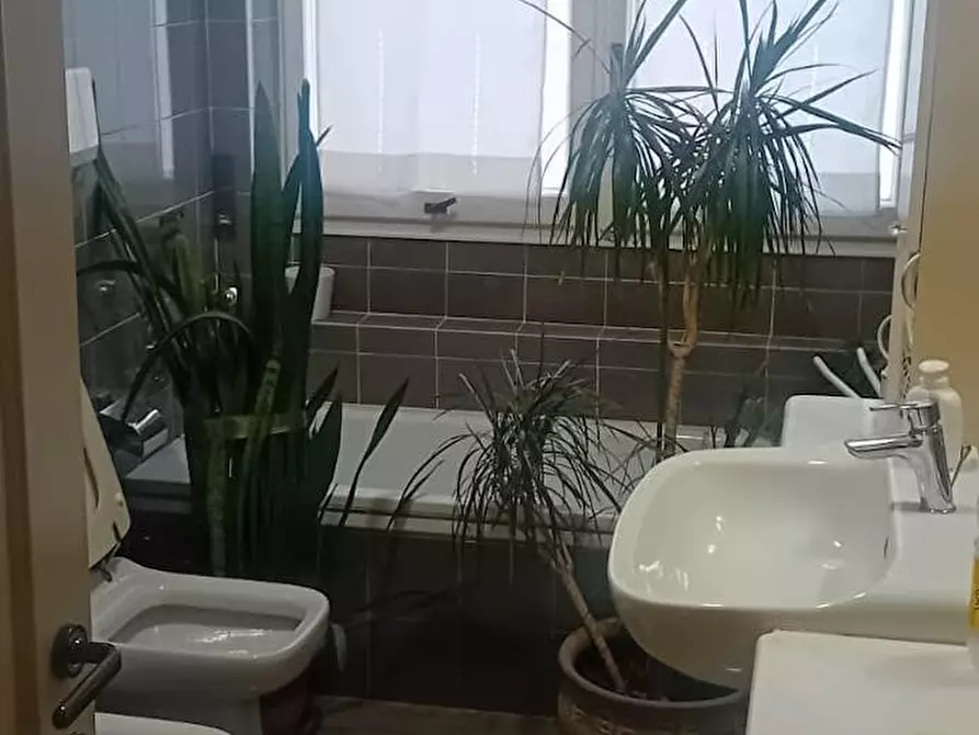 Immagine 6 di Camera in affitto  in Via Basilio Bricci a Roma