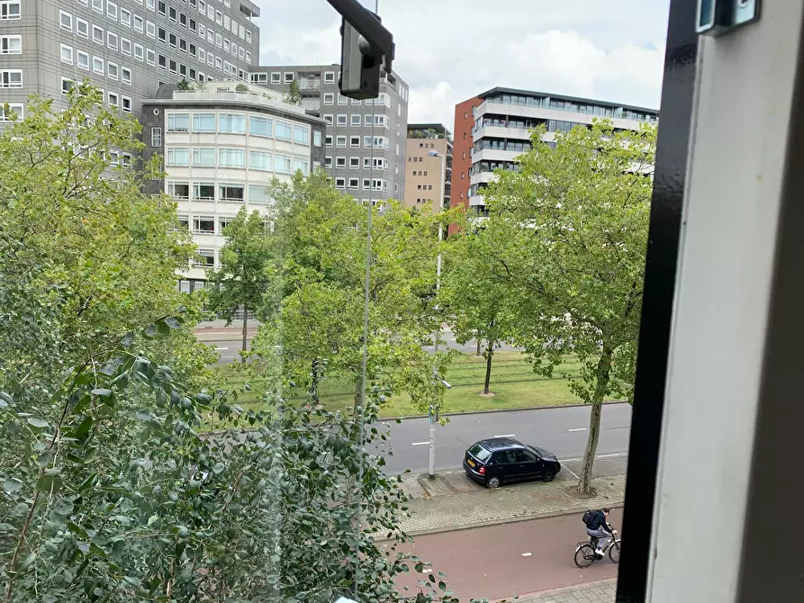 Immagine 6 di Camera in affitto  in Goudsesingel a Rotterdam