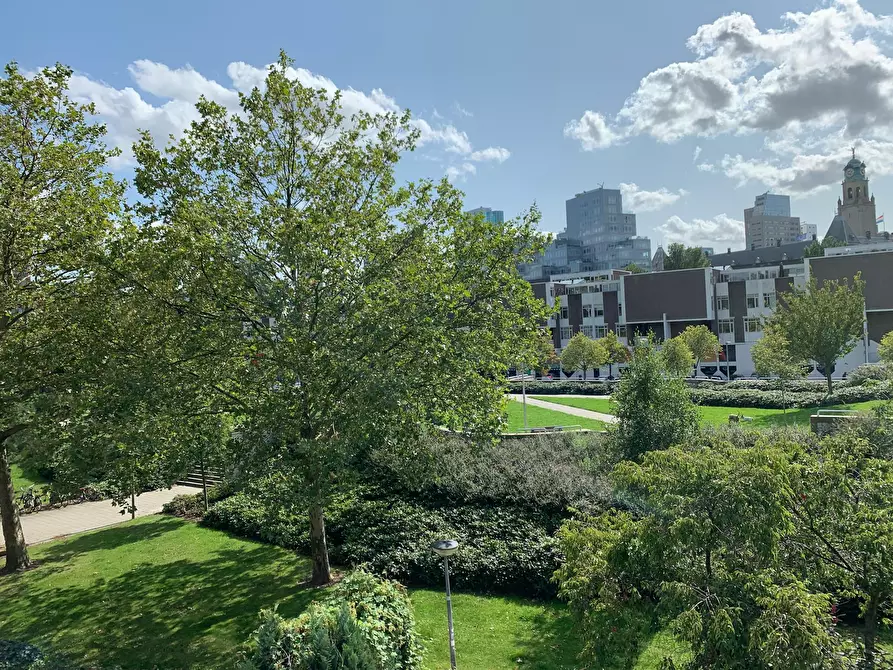 Immagine 8 di Camera in affitto  in Goudsesingel a Rotterdam