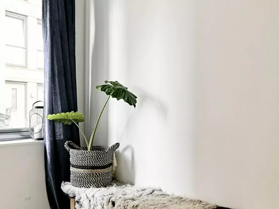Immagine 4 di Casa indipendente in affitto  in Meimorgenstraat a Amsterdam