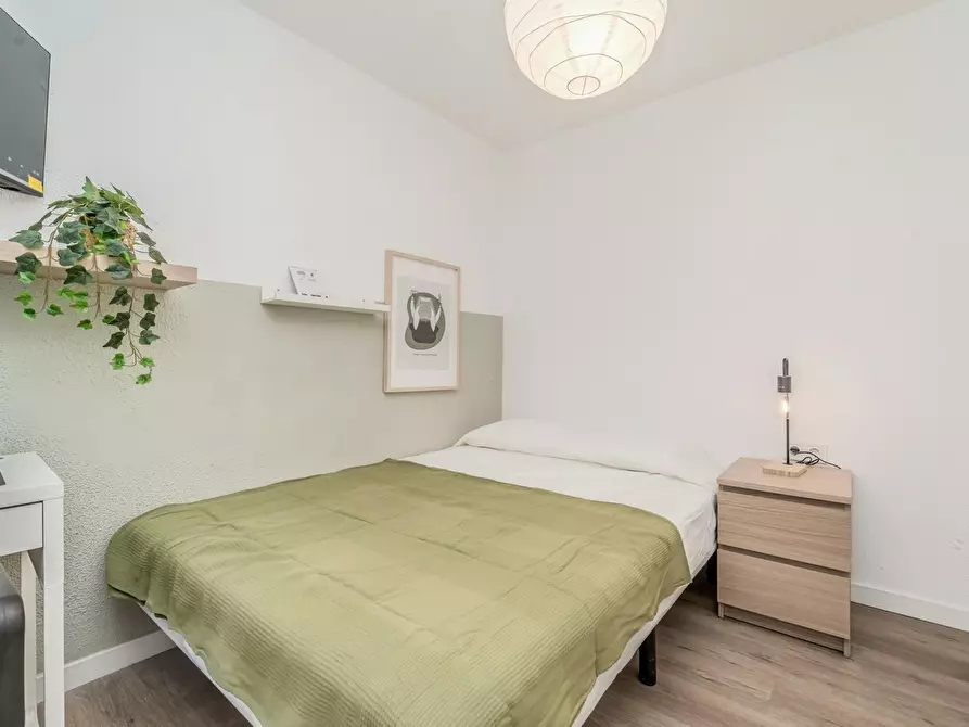 Immagine 3 di Camera in affitto  in Calle Peña de Francia a Valladolid