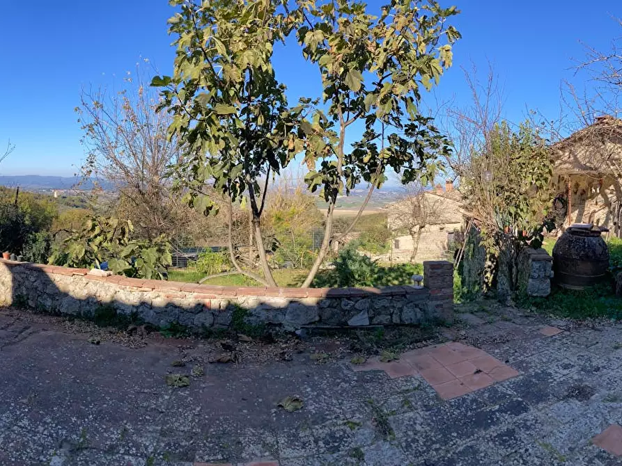 Immagine 4 di Camera in affitto  in Via Centro di Radi a Monteroni D'arbia