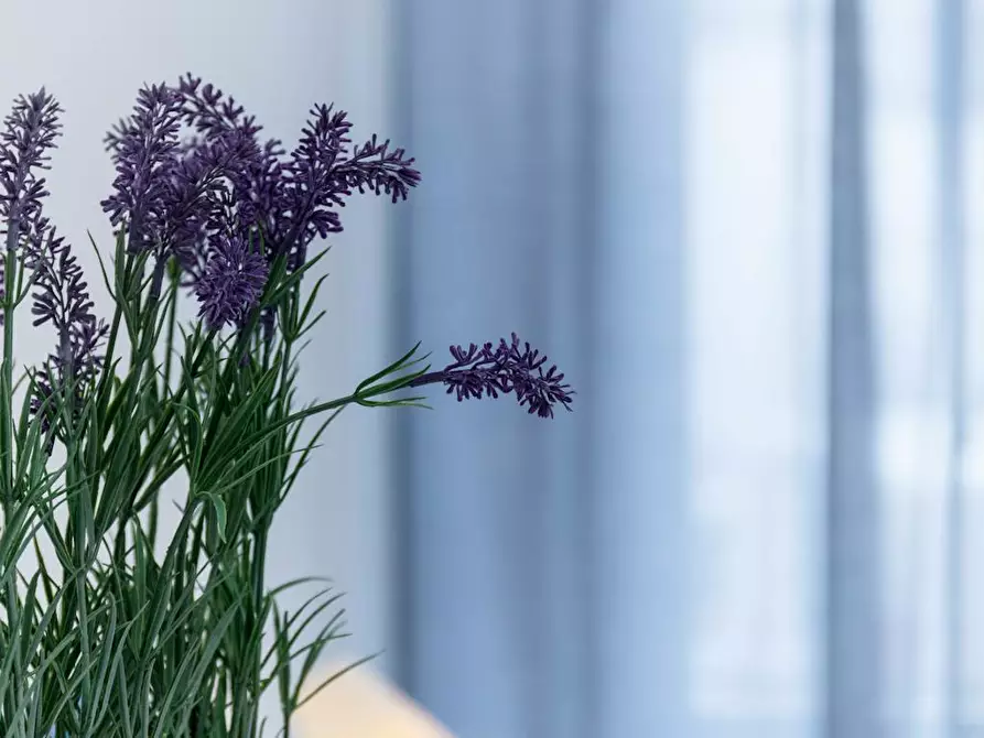 Immagine 8 di Camera in affitto  in Via Romolo Gessi a Torino