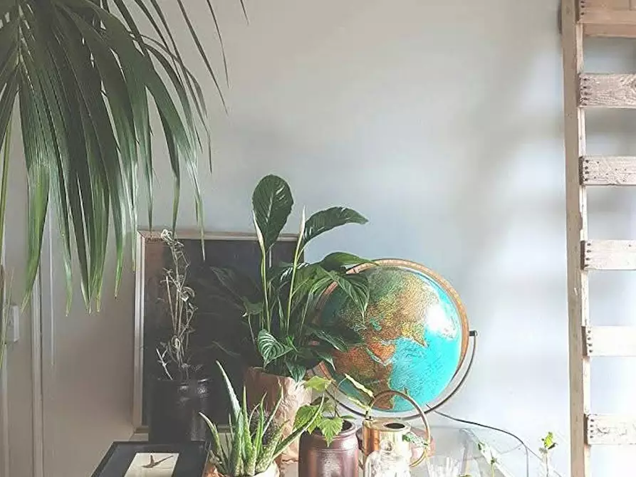 Immagine 10 di Appartamento in affitto  in Via Santo Spirito a Firenze