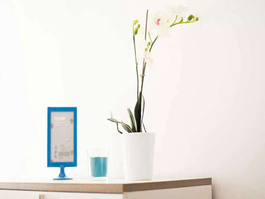 Immagine 6 di Camera in affitto  in Corso Sempione a Milano