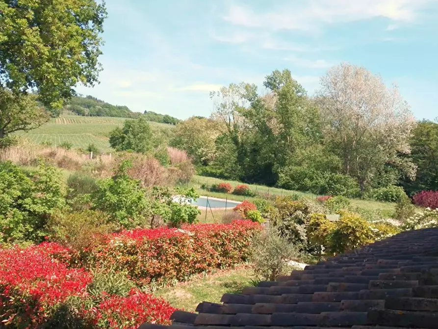 Immagine 7 di Casa indipendente in affitto  in Via Virginio Nuova a Montespertoli