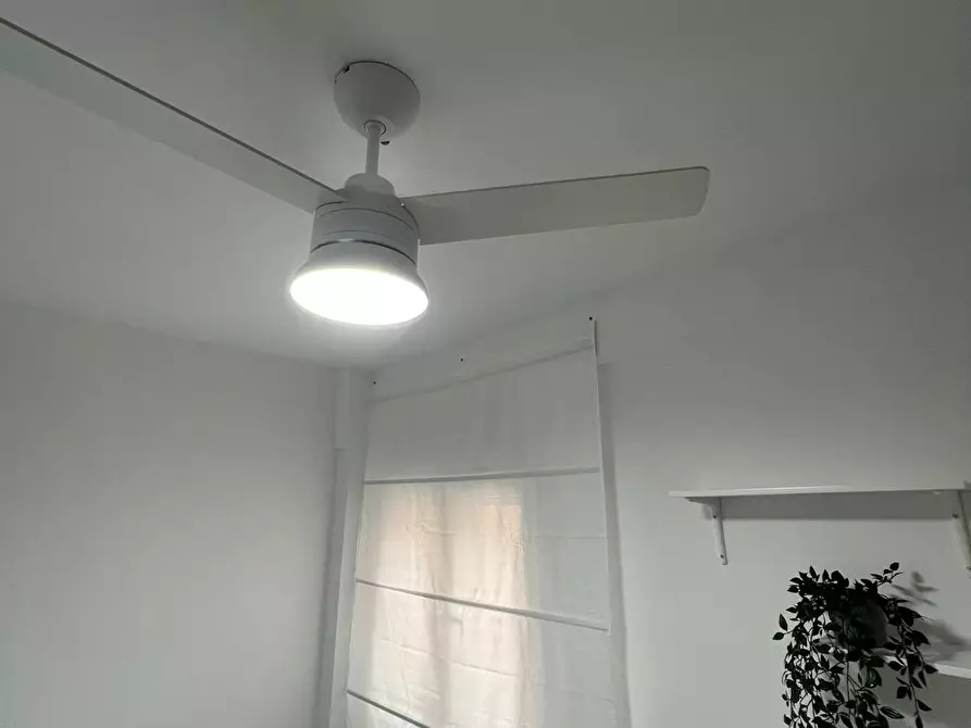Immagine 6 di Camera in affitto  in Avinguda de Jijona a Alicante/Alacant