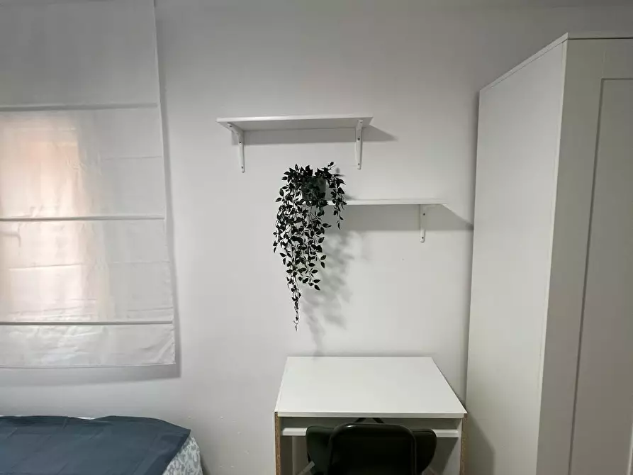 Immagine 5 di Camera in affitto  in Avinguda de Jijona a Alicante/Alacant