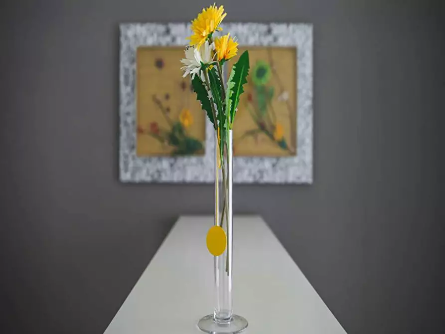 Immagine 7 di Camera in affitto  in Via Paolo Bassi a Milano