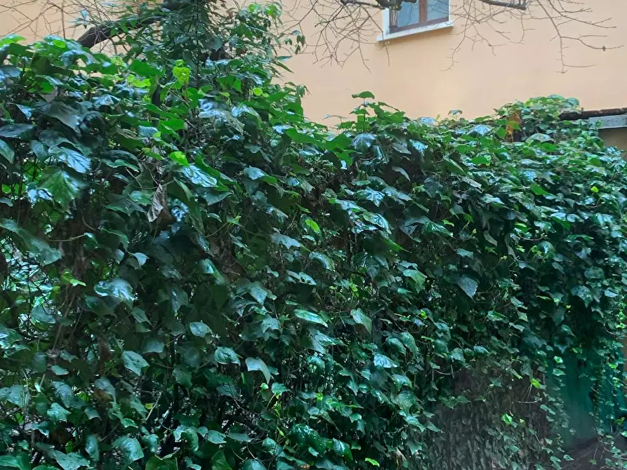 Immagine 10 di Appartamento in affitto  in Via Tonale a Milano
