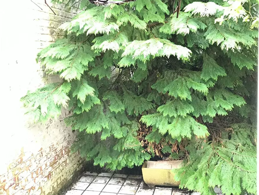 Immagine 8 di Appartamento in affitto  in Chaussée Saint-Pierre a Etterbeek