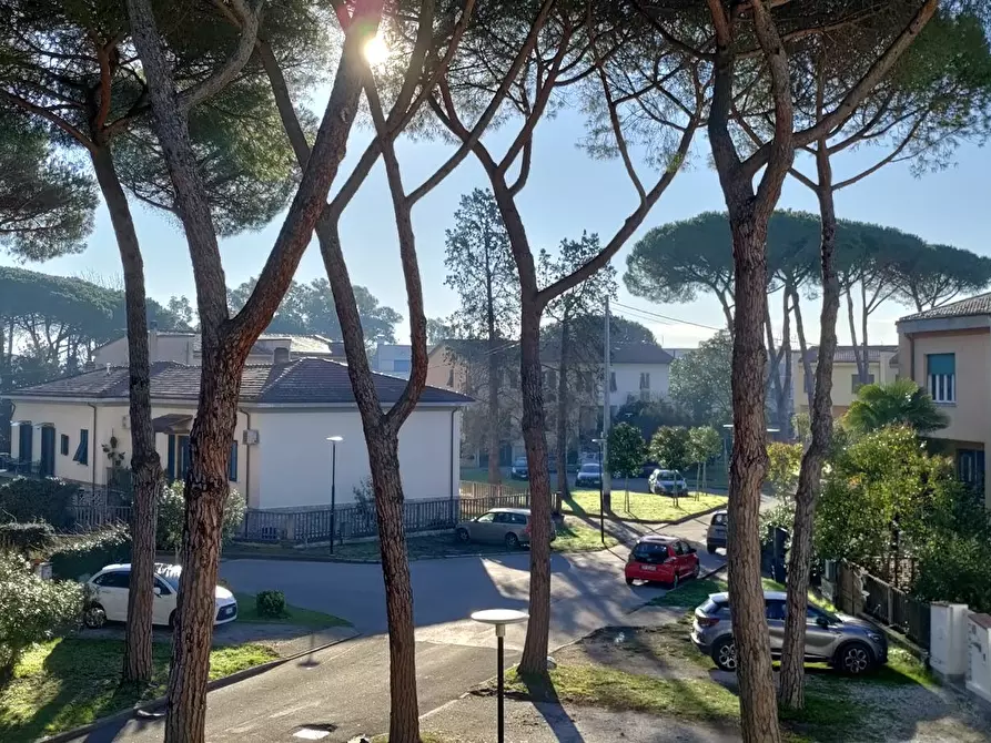 Immagine 4 di Camera in affitto  in Via Andrea Costa a Pisa