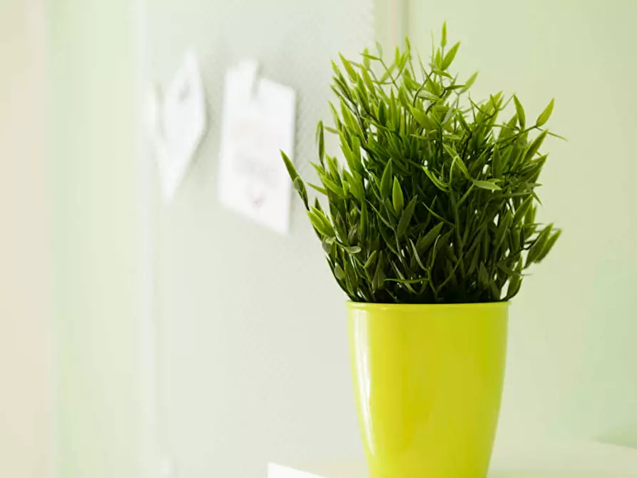 Immagine 6 di Camera in affitto  in Via Privata Procopio a Milano