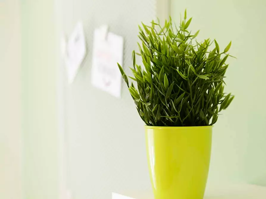 Immagine 7 di Camera in affitto  in Via Privata Procopio a Milano