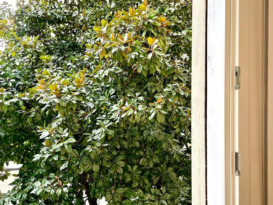 Immagine 5 di Appartamento in affitto  in Via Leonardo Loredan a Padova