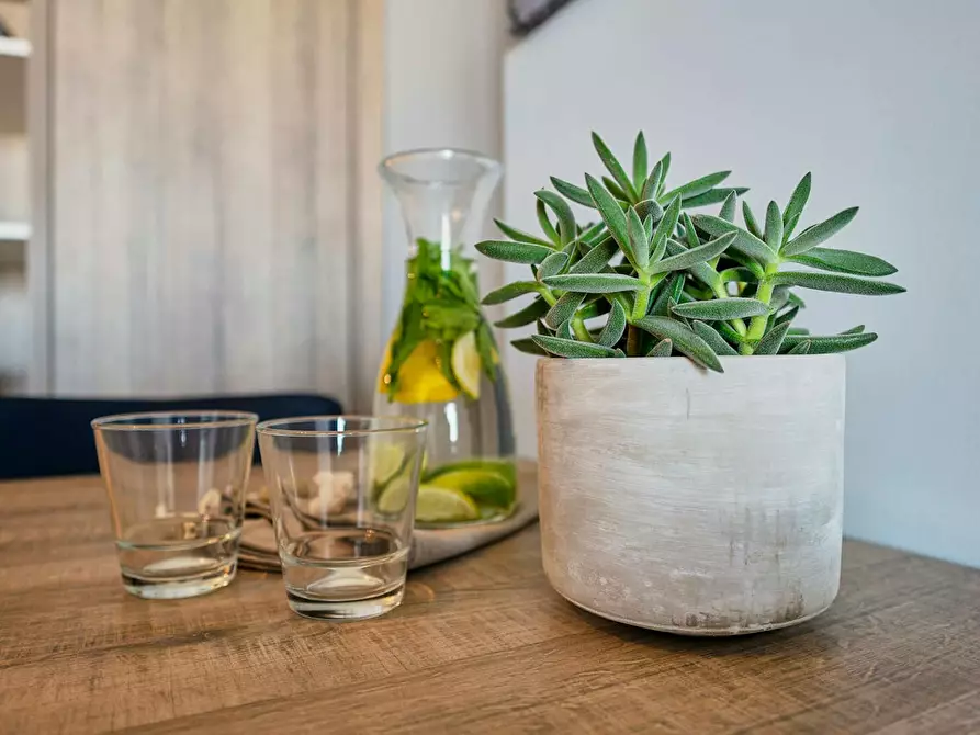 Immagine 6 di Appartamento in affitto  in Zeedijk a Uitkerke