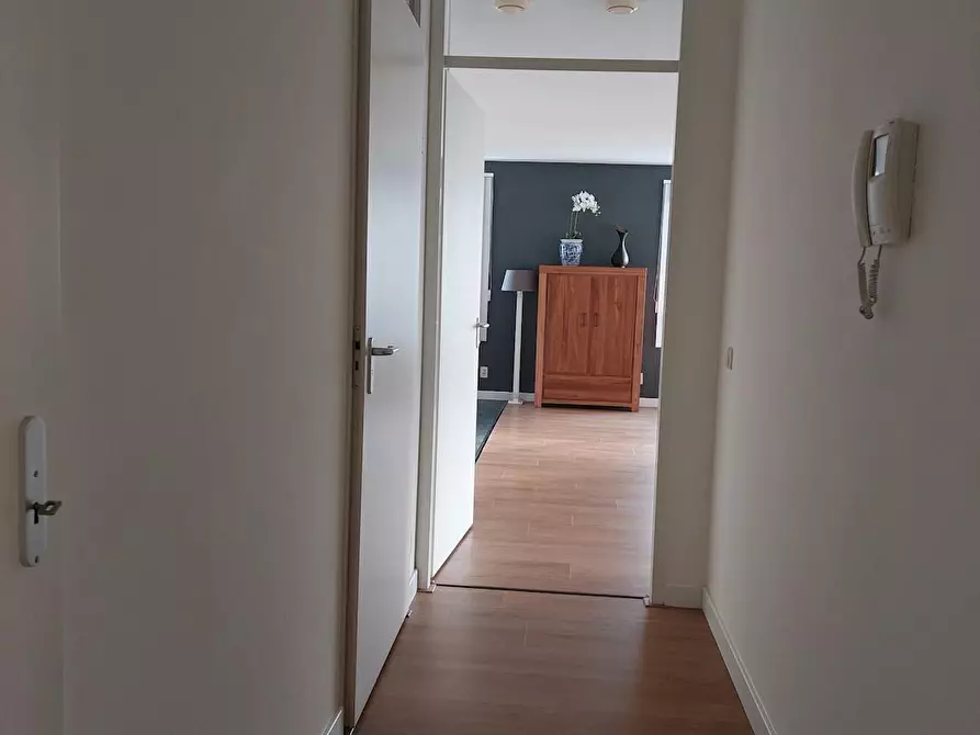 Immagine 4 di Appartamento in affitto  in Lotustuin a Rotterdam