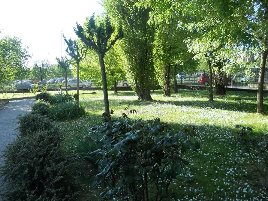 Immagine 4 di Camera condivisa in affitto  in Via Benozzo Gozzoli a Milano