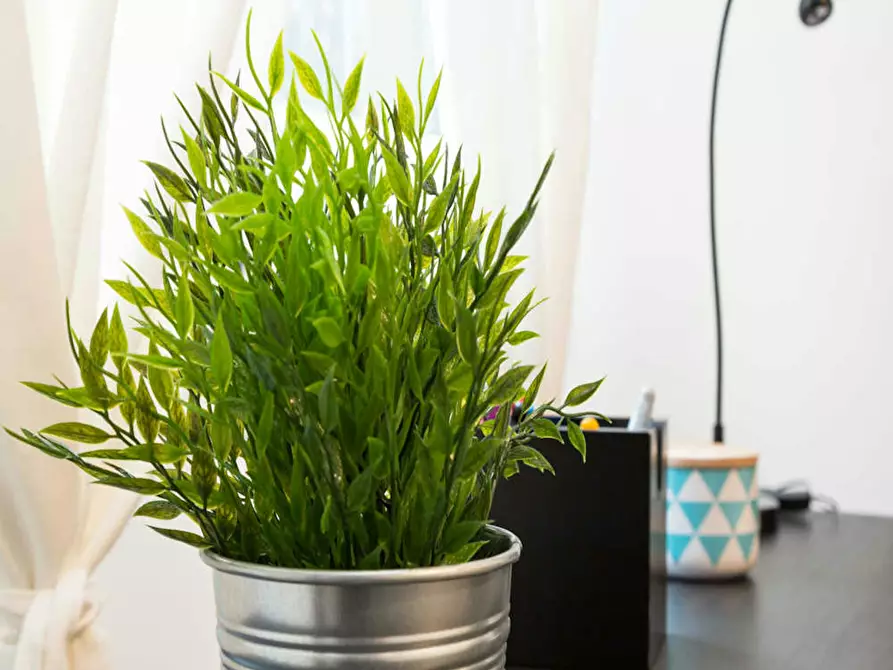 Immagine 6 di Camera in affitto  in Via Saverio Mercadante a Milano