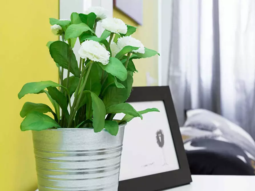 Immagine 9 di Camera in affitto  in Via Carlo Bertolazzi a Milano