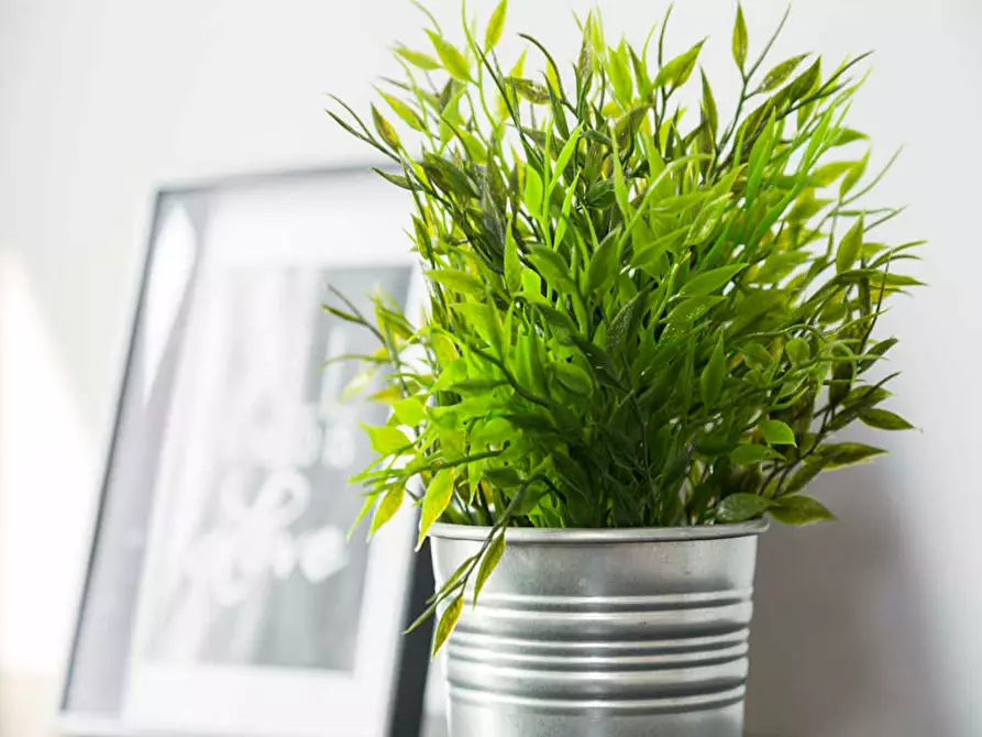 Immagine 7 di Camera in affitto  in Via dei Mandorli a Buccinasco