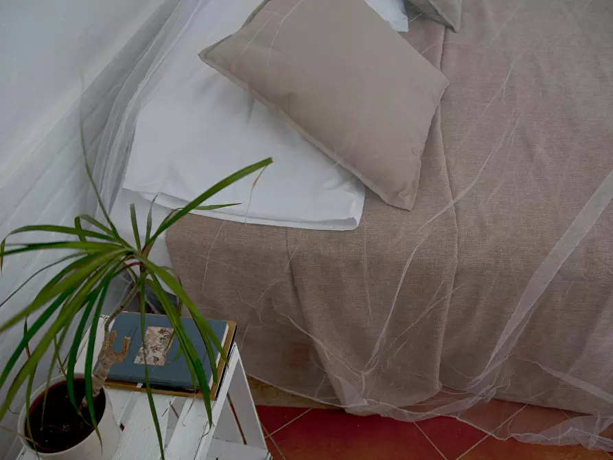 Immagine 5 di Casa indipendente in affitto  in Via Lopez de Vega a Palermo