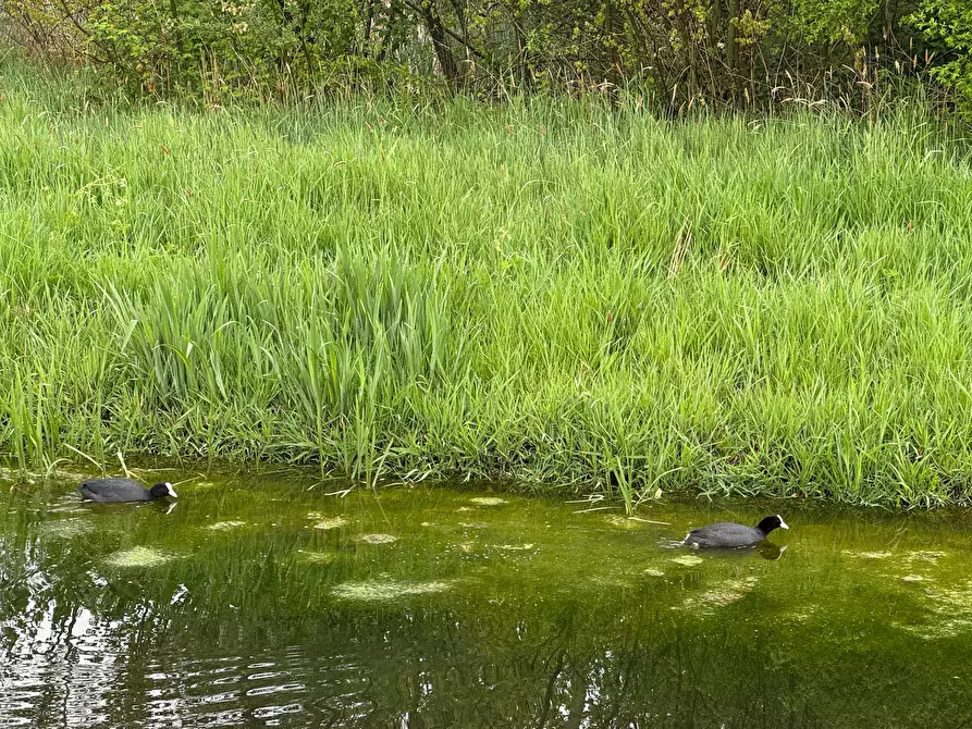 Immagine 8 di Appartamento in affitto  in Geert Grooteplein Zuid a Nijmegen