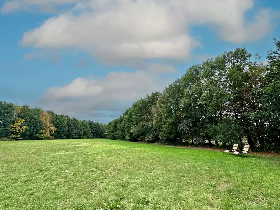 Immagine 10 di Appartamento in affitto  in Geert Grooteplein Zuid a Nijmegen