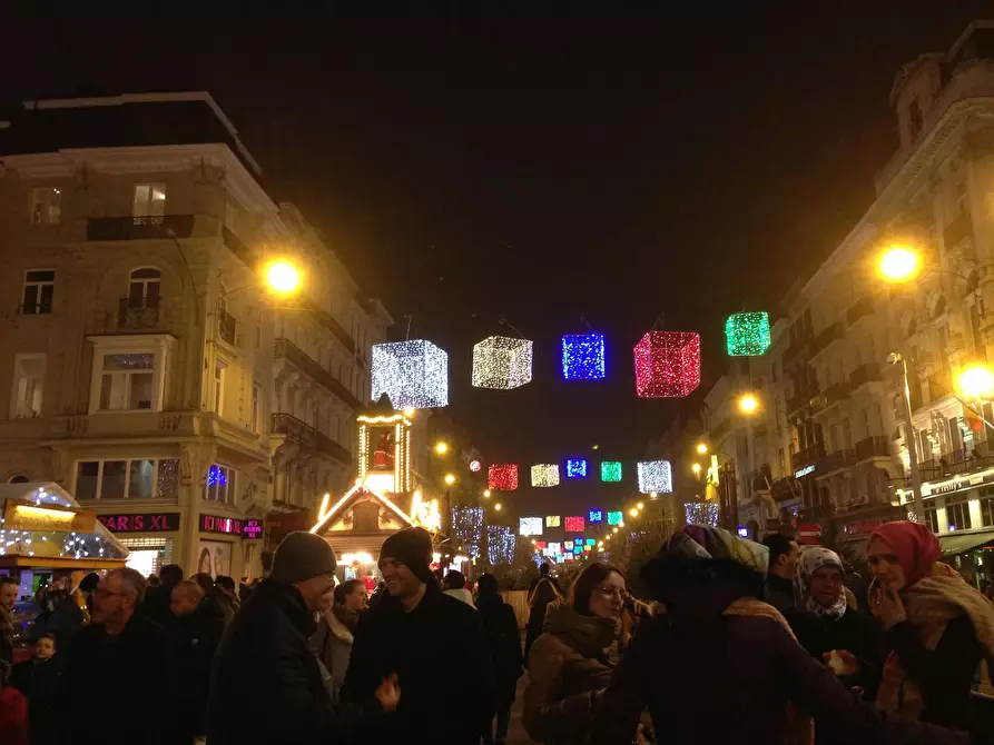 Immagine 6 di Camera in affitto  in Rue du Lombard a Bruxelles
