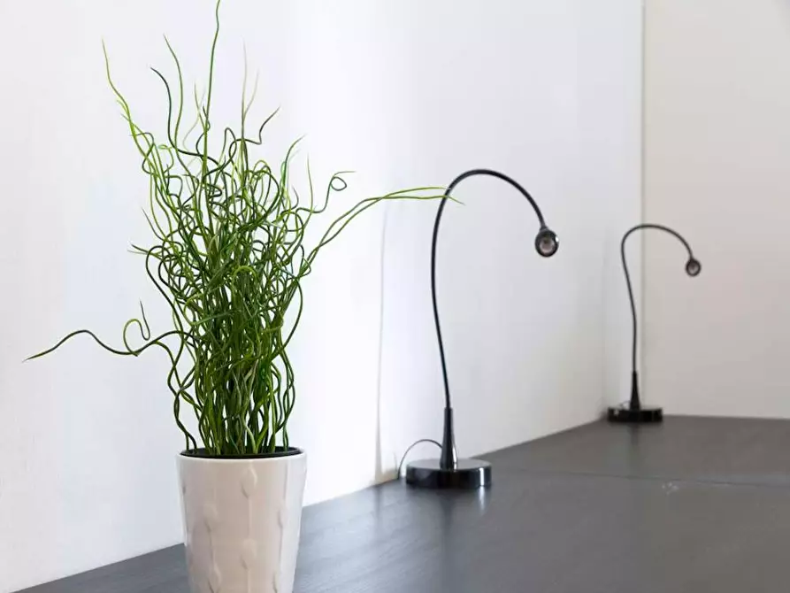 Immagine 7 di Camera in affitto  in Via Savona a Milano