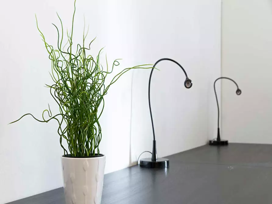 Immagine 9 di Camera in affitto  in Via Savona a Milano