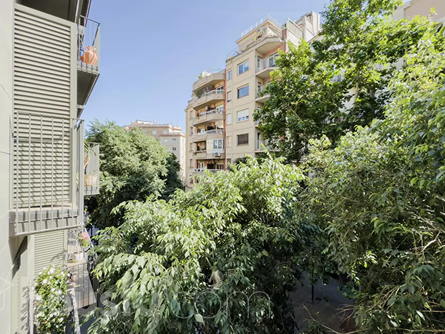 Immagine 10 di Appartamento in affitto  in Carrer de Rocafort a Barcelona