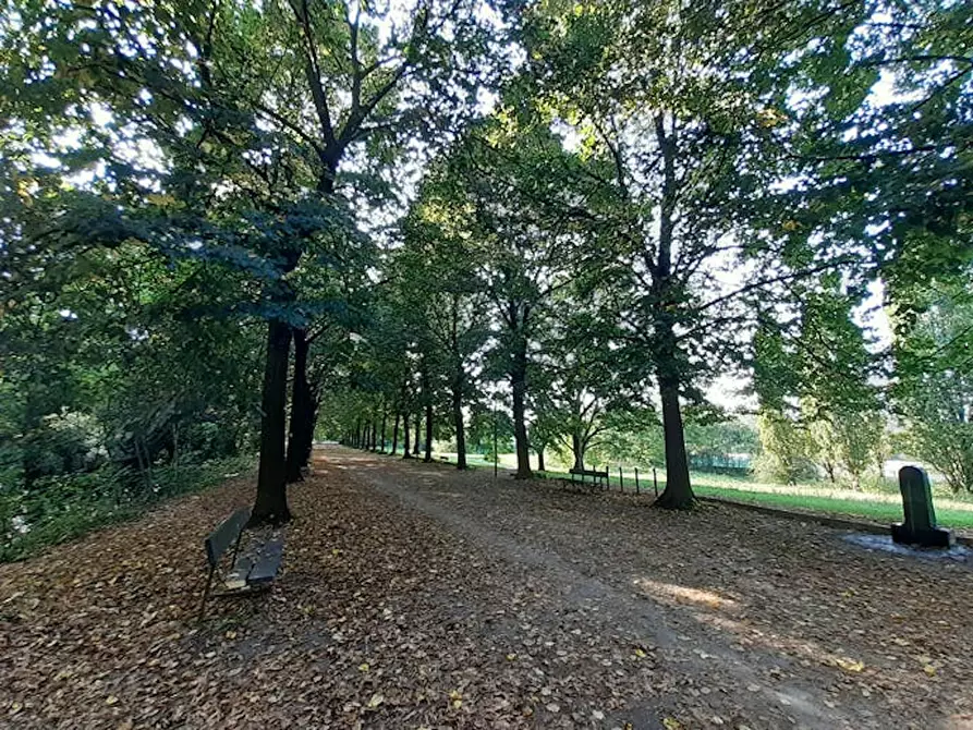 Immagine 10 di Camera in affitto  in Via Reggio a Torino