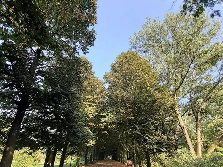 Immagine 9 di Camera in affitto  in Via Reggio a Torino