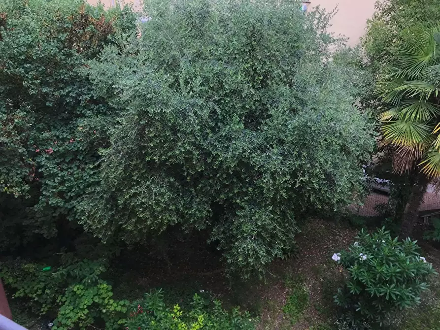 Immagine 7 di Appartamento in affitto  in Via Fondazza a Bologna