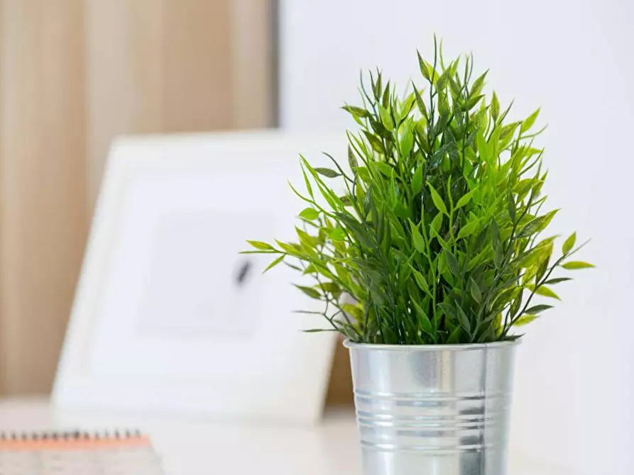 Immagine 2 di Camera in affitto  in Via delle Acacie a Buccinasco