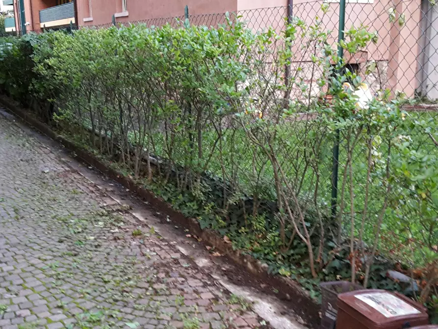 Immagine 5 di Camera in affitto  in Via Castelbarco a Trento