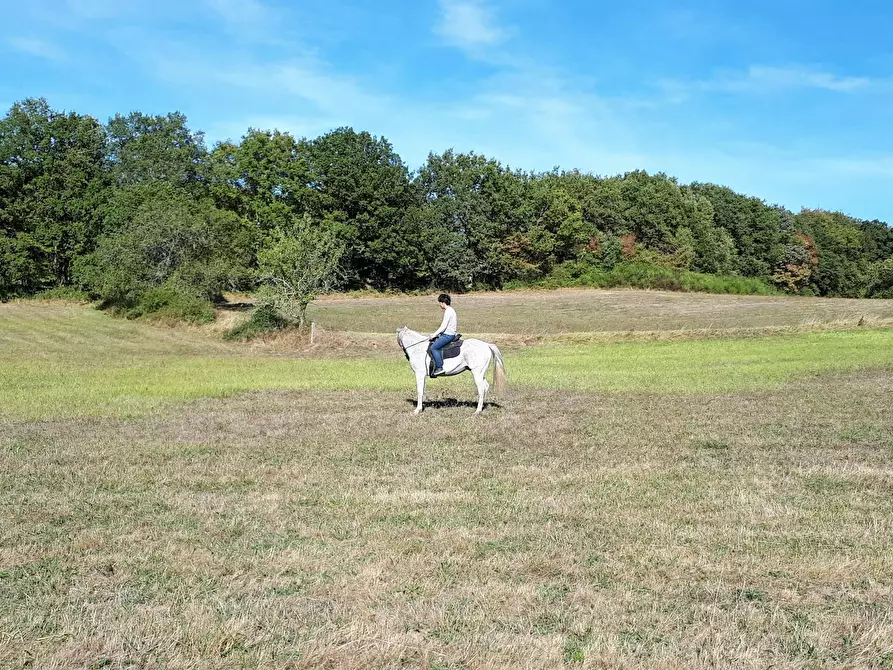 Immagine 10 di Casa indipendente in affitto  in Fonblanque a Campagnac
