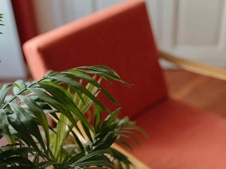 Immagine 5 di Appartamento in affitto  in Via Giuseppe Mazzini a Torino