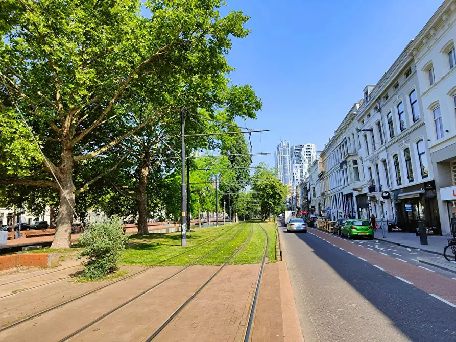 Immagine 5 di Camera in affitto  in Teilingerstraat a Rotterdam