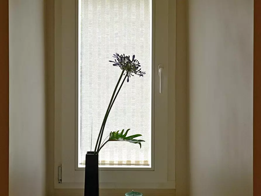 Immagine 10 di Appartamento in affitto  in Ackerstraße a Berlin
