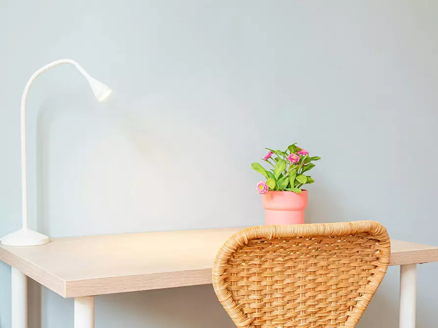 Immagine 6 di Camera in affitto  in Via Plinio a Milano